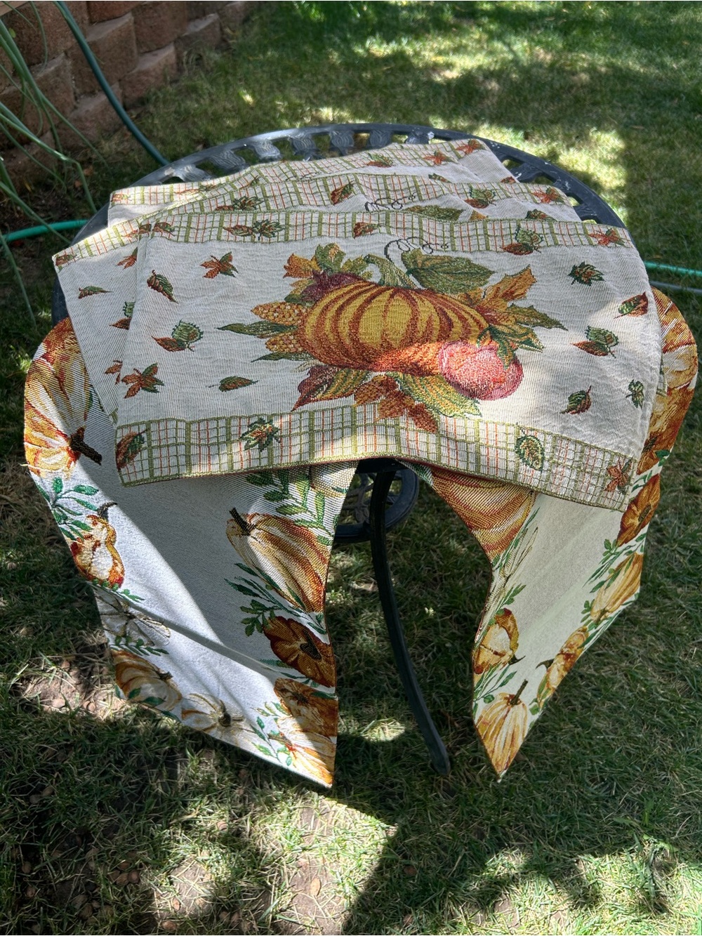 Set 5 Harvest Pumpkin Table Runner & Platemat Fall Dining Accent🍂🍁🌾